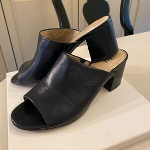 Elegant Black Women's Mules